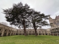 Salisbury-38